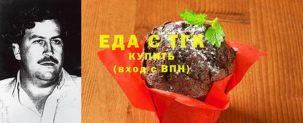 гидра Вязьма