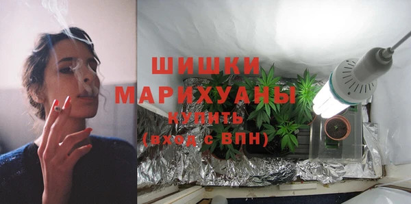 гидра Вязьма
